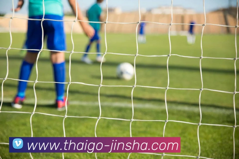 金沙娱乐APP 封面图